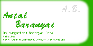 antal baranyai business card